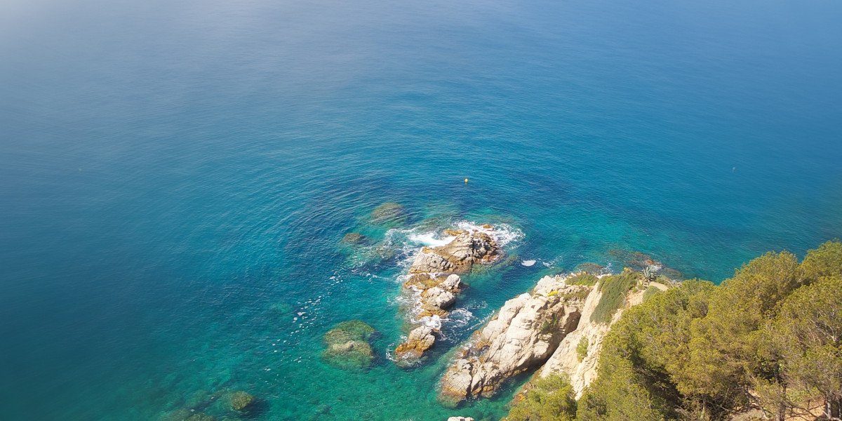 Exploring Sugar Daddy Dating Websites: Trends, Dynamics, and Implications