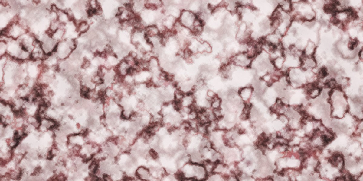 Legit Personal Loans for Bad Credit: A Comprehensive Guide